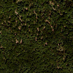 Satellite imagery of Nassacher Höhe, DE