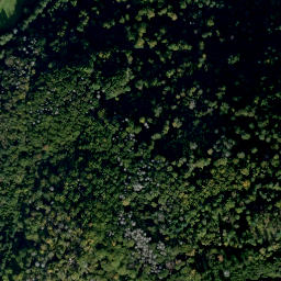 Satellite imagery of Altenberg, DE