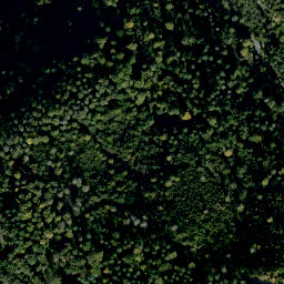 Satellite imagery of Altenberg, DE