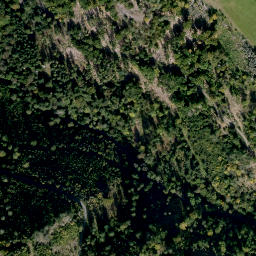 Satellite imagery of Altenberg, DE