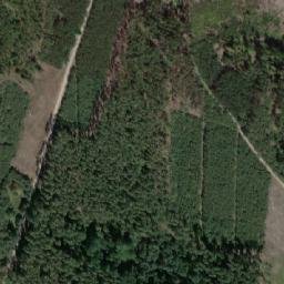 Satellite imagery of Klusánky-Kolíkovaná [Běleč nad Orlicí], CZ