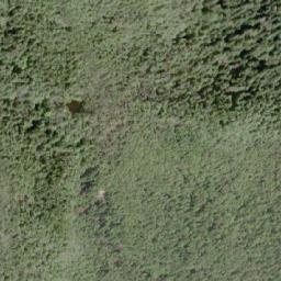 Satellite imagery of Saxifraga Mountain, CA