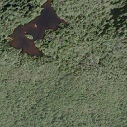 Satellite imagery of Saxifraga Mountain, CA