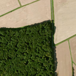 Satellite imagery of Büchelberg, DE