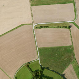 Satellite imagery of Büchelberg, DE