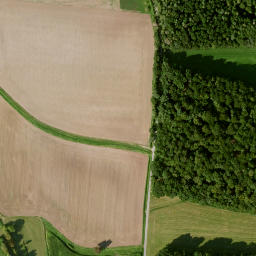 Satellite imagery of Büchelberg, DE