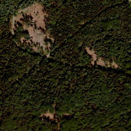 Satellite imagery of Schwedenschanze, DE