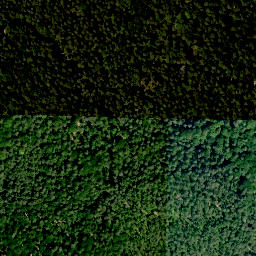 Satellite imagery of Alte Burg (Altenstein), DE