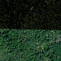 Satellite imagery of Alte Burg (Altenstein), DE