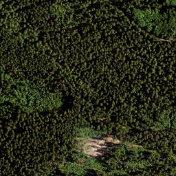 Satellite imagery of Kleiner Kornberg, DE