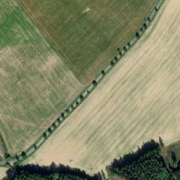 Satellite imagery of Les Včelný [Rychnov nad Kněžnou], CZ