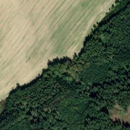 Satellite imagery of Les Včelný [Rychnov nad Kněžnou], CZ