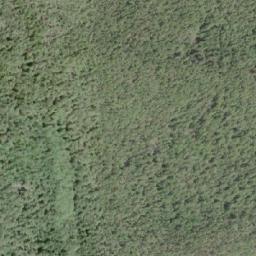 Satellite imagery of Saxifraga Mountain, CA