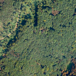 Satellite imagery of Zeilberg, DE