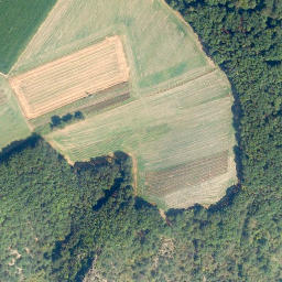 Satellite imagery of Burg Maus, DE