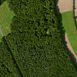 Satellite imagery of Büchelberg, DE