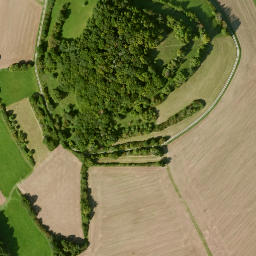 Satellite imagery of Büchelberg, DE