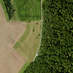 Satellite imagery of Büchelberg, DE