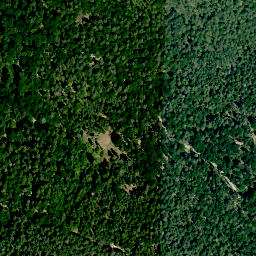 Satellite imagery of Alte Burg (Altenstein), DE