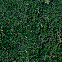 Satellite imagery of Alte Burg (Altenstein), DE