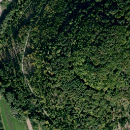 Satellite imagery of Ringwall Grüne Burg, DE