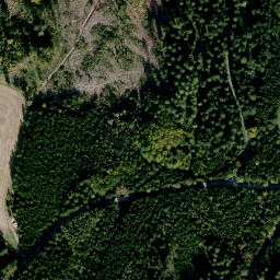 Satellite imagery of Torkel, DE