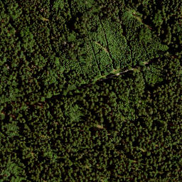 Satellite imagery of Hinterer Mittelberg, DE