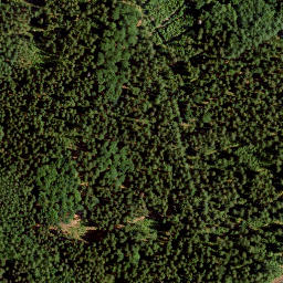 Satellite imagery of Kleiner Kornberg, DE