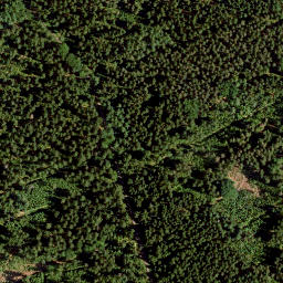 Satellite imagery of Kleiner Kornberg, DE