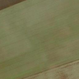 Satellite imagery of (U Fořtů) [Brázdim], CZ