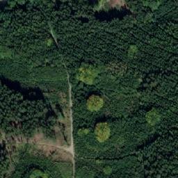 Satellite imagery of Les Včelný [Rychnov nad Kněžnou], CZ