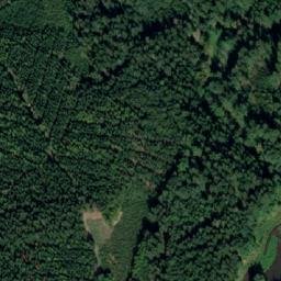 Satellite imagery of Les Včelný [Rychnov nad Kněžnou], CZ