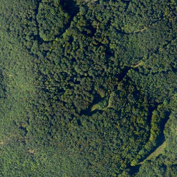 Satellite imagery of Burgberg, DE