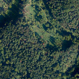 Satellite imagery of Bauenheller Berg, DE