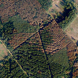 Satellite imagery of Heersheck, DE