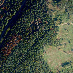 Satellite imagery of Zeilberg, DE