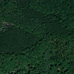 Satellite imagery of Rauenberg, DE