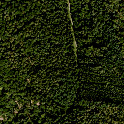 Satellite imagery of Burgjoß-Forst Aura-Flörsbachtal, FR