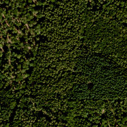 Satellite imagery of Burgjoß-Forst Aura-Flörsbachtal, FR