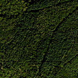 Satellite imagery of Burgjoß-Forst Aura-Flörsbachtal, FR