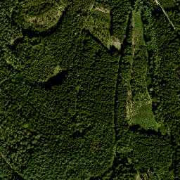 Satellite imagery of Petzchen, DE