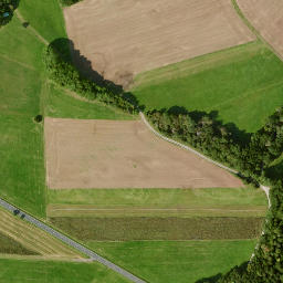 Satellite imagery of Büchelberg, DE
