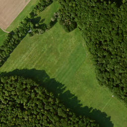 Satellite imagery of Büchelberg, DE