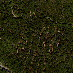 Satellite imagery of Schwedenschanze, DE