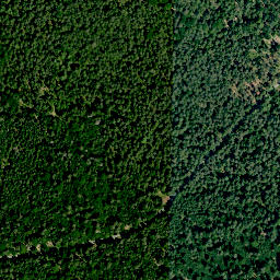 Satellite imagery of Rothügel, DE