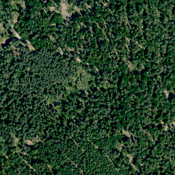 Satellite imagery of Rothügel, DE