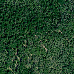 Satellite imagery of Alte Burg (Hafenpreppach), DE