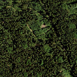 Satellite imagery of Kleiner Kornberg, DE
