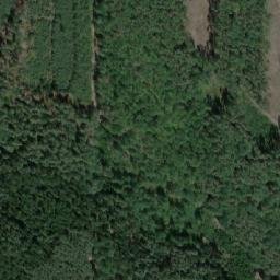 Satellite imagery of (Sládková) [Běleč nad Orlicí], CZ