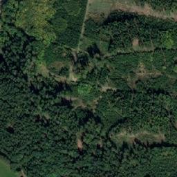 Satellite imagery of Les Včelný [Rychnov nad Kněžnou], CZ